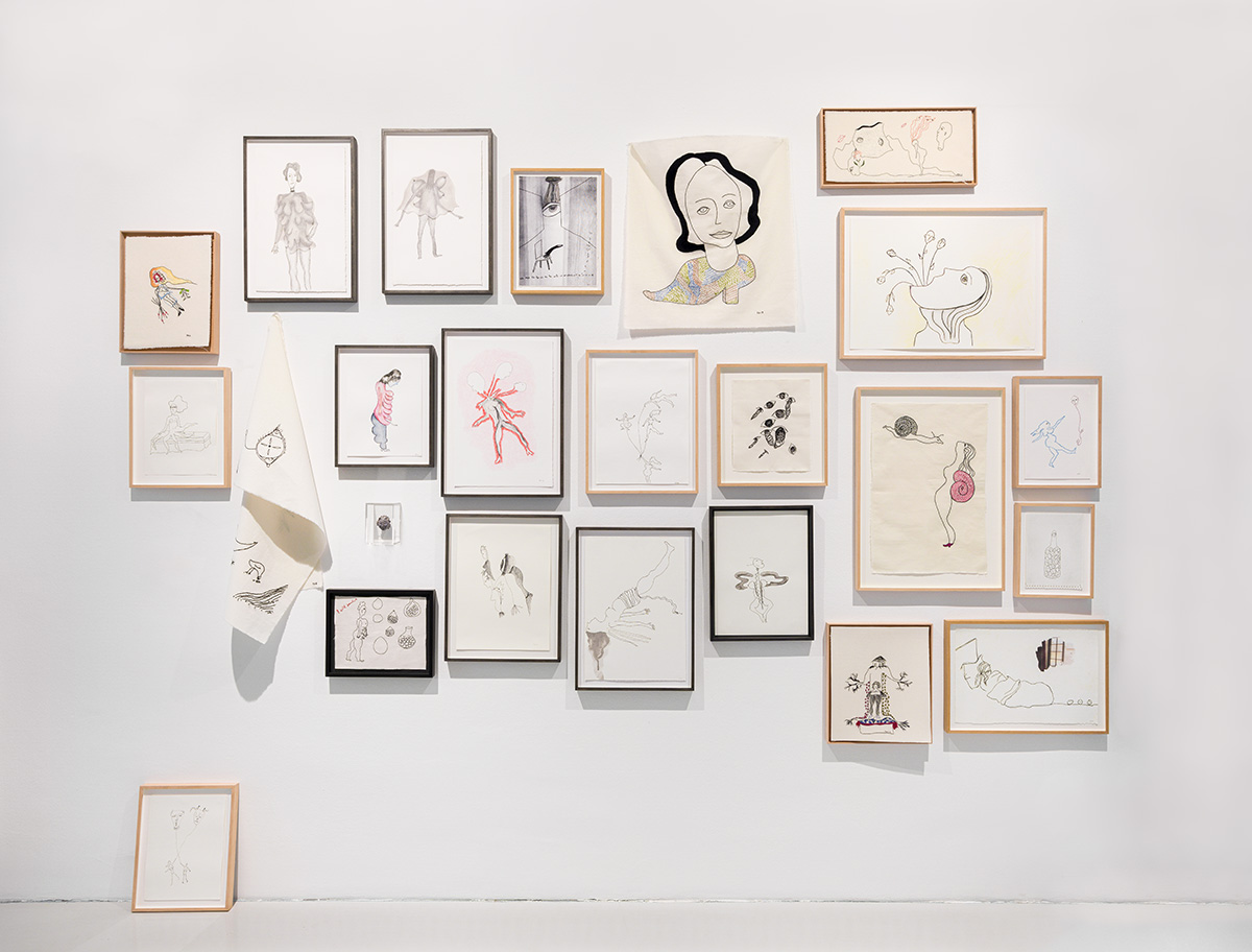 To see or not to see