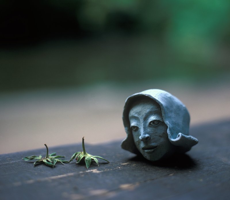 Les queues de fraises